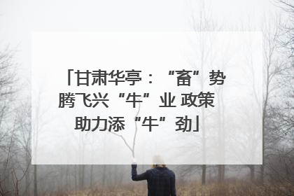 甘肃华亭：“畜”势腾飞兴“牛”业 政策助力添“牛”劲